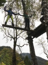 Img 8867  768x1024 