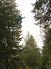 Img 8950  768x1024 